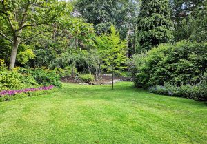 Optimiser l'expérience du jardin à Coutencon